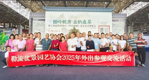 超2万人打卡！第十四届粤港澳台盆景艺术博览会中山黄圃完美收官